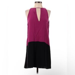 Small Parker Brand Color Block Dress